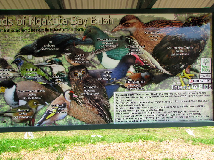 img_5261.jpg