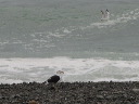 img_5388
