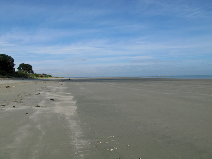 img_5300.jpg