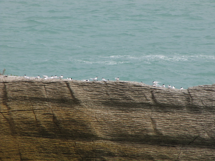 img_5350.jpg
