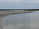 img_5415