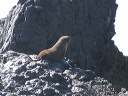 img_5733