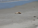 img_5783