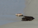 img_5792_5793