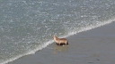 img_5794_480