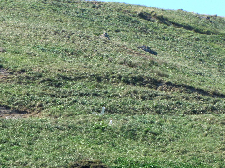 img_5719.jpg
