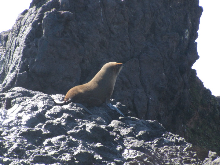 img_5733.jpg