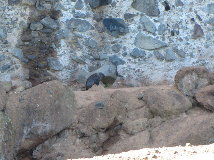 img_5737.jpg
