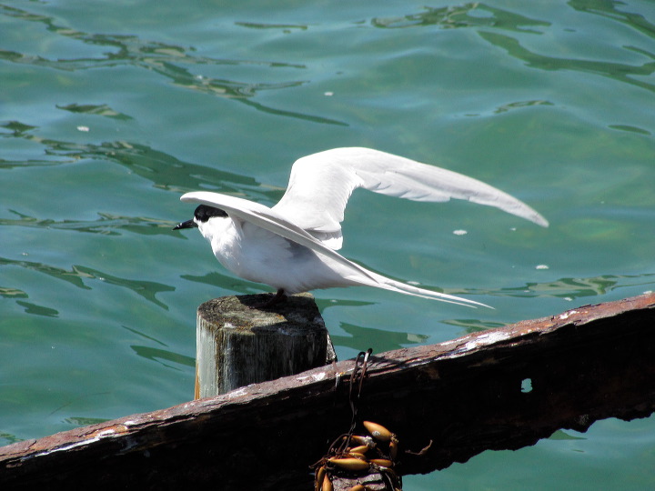 img_5768.jpg