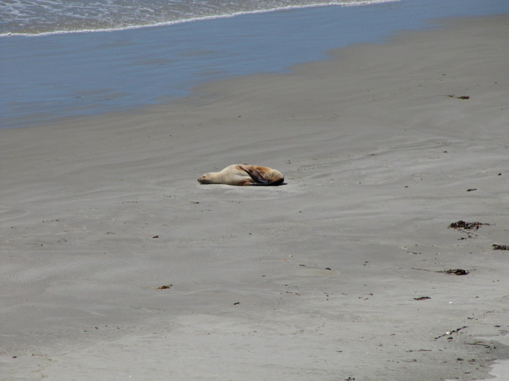 img_5783.jpg