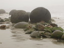 img_6005