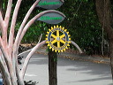 img_6252