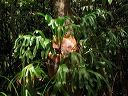 img_6317