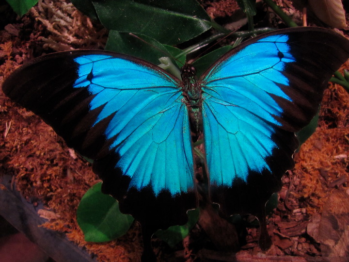 img_6250.jpg