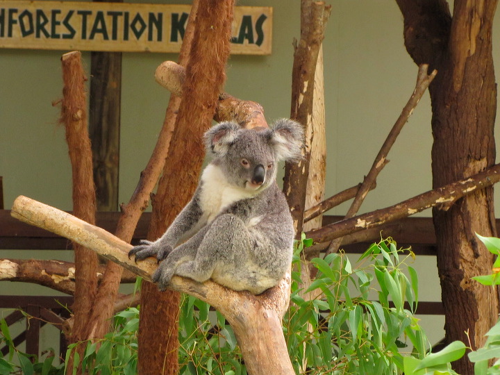 img_6271.jpg
