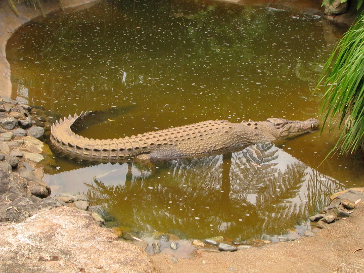 img_6283.jpg