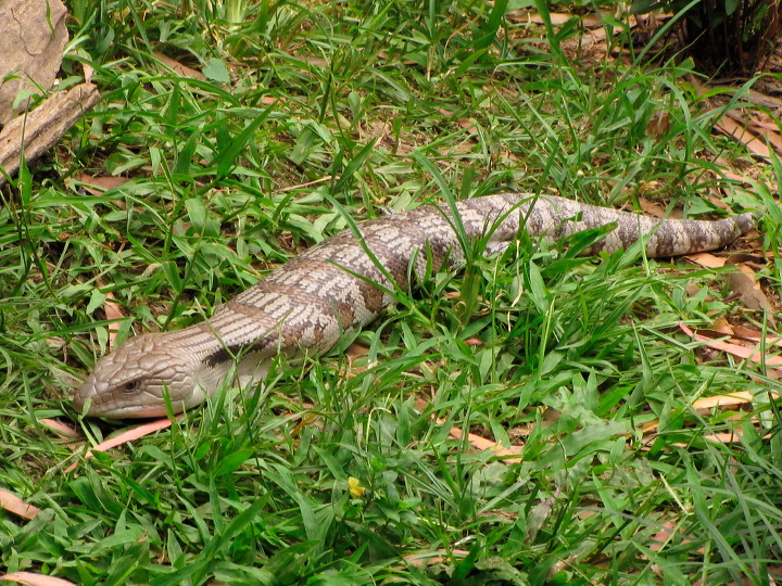 img_6297.jpg