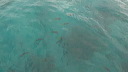 img_6436_480