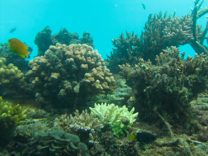 img_6413.jpg