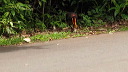 img_6514_480