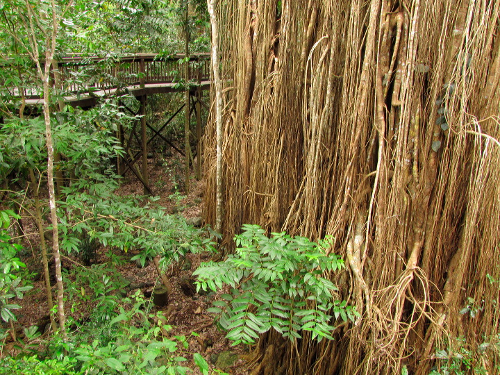img_6485.jpg