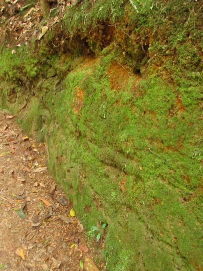 img_6511.jpg
