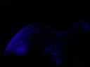 img_6648