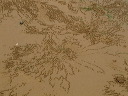 img_6654