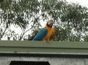 img_6723