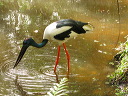 img_6777