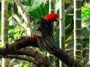 img_6801