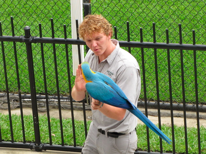 img_6720.jpg