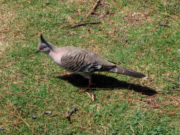 img_6833.jpg