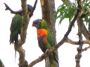 img_6860