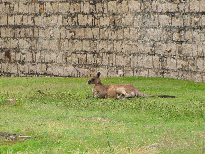 img_6897.jpg