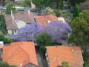 img_6937