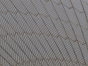 img_6961