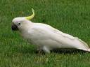 img_7144