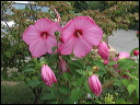 img_2012_5058