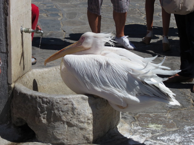 img_2012_6036.jpg