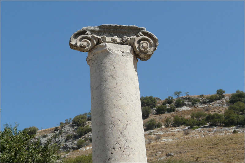 img_2012_jcn_p1120898.jpg