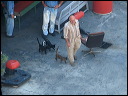 img_2012_7779