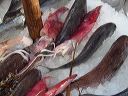 img_2013_3524