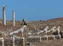 delos_0331_img_2012_5965