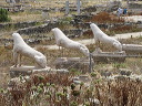delos_0342_img_2013_5207