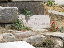 delos_0360_img_2013_5227