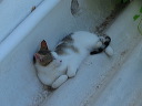 img_2013_5513