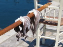 img_2013_5863