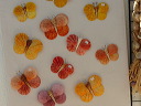 img_2013_6094