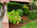 img_2013_8317